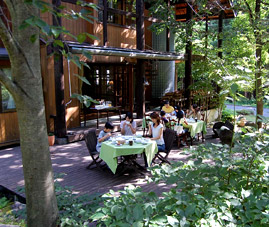 IL BOSCO