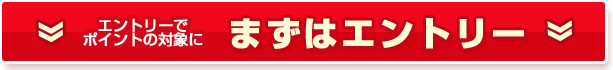 �G���g���[�Ń|�C���g�̑Ώۂ� �܂��̓G���g���[