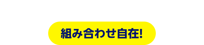 羽田・成田↔シンガポール 1日4往復　組み合わせ自在!