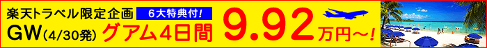 �O�A���̓`���[�^�[�ւō�����I
