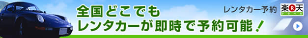 �����^�J�[�\��͂�����