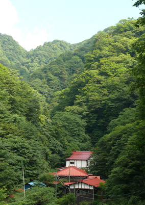 金湯館
