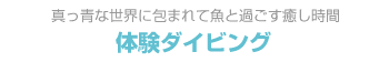 体験ダイビング