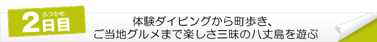2日目:体験ダイビングから町歩き、ご当地グルメまで楽しさ三昧の八丈島を遊ぶ