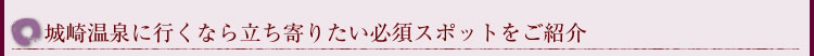 ��艷��ɍs���Ȃ痧����肽���K�{�X�|�b�g�����Љ�