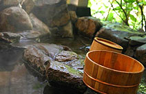嬉野温泉 元湯白珪