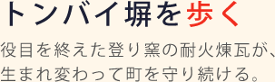 トンバイ塀を歩く