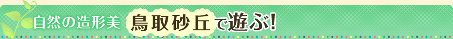 自然の造形美鳥取砂丘で遊ぶ!