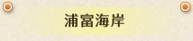 浦富海岸