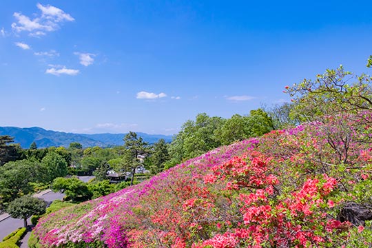 小室山