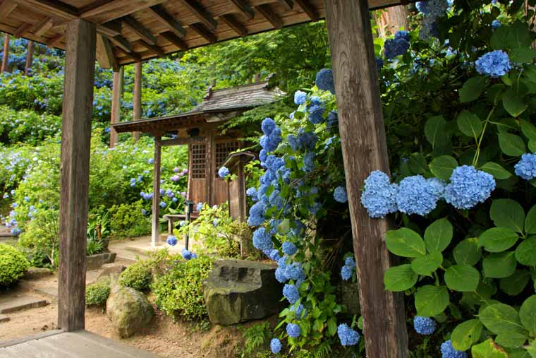 高林寺