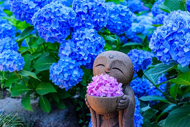 雲昌寺（うんしょうじ）