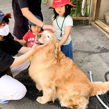 水上温泉 ペンション 朝ねぼう「クイーン」