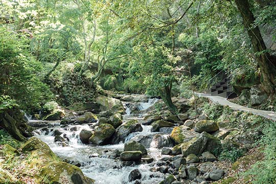 万葉公園「湯河原惣湯 Books and Retreat」