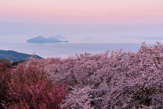 紫雲出山