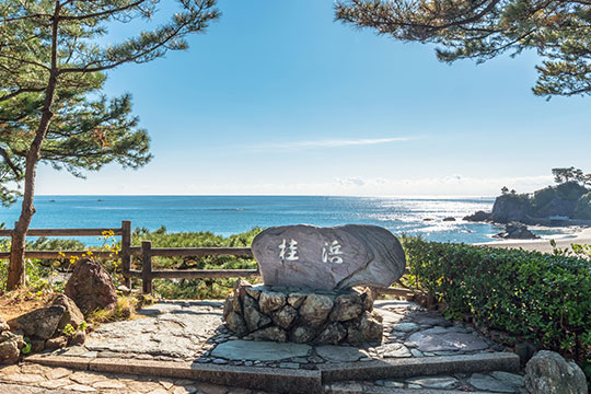 桂浜
