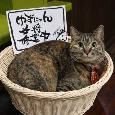 鉄輪温泉 かんなわ ゆの香「ゆず」