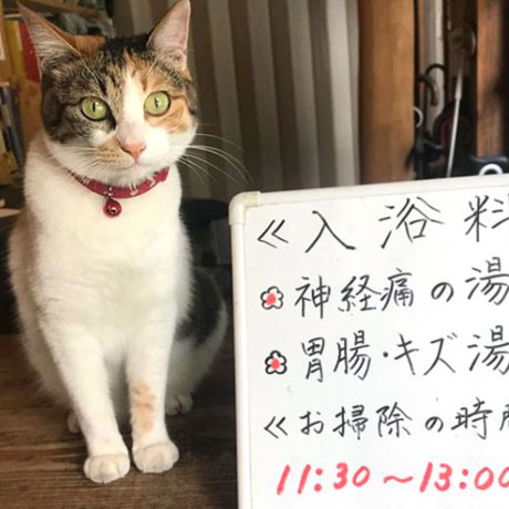 妙見温泉 田島本館「すずめ」