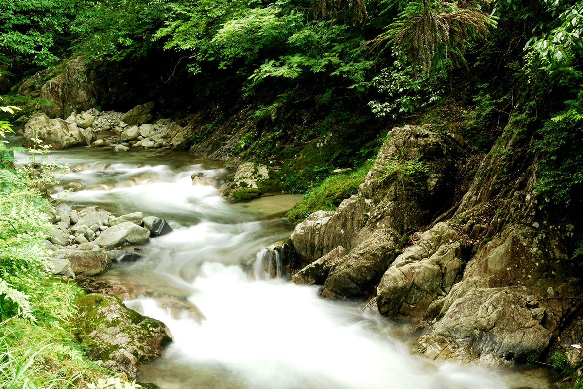 鈍川温泉