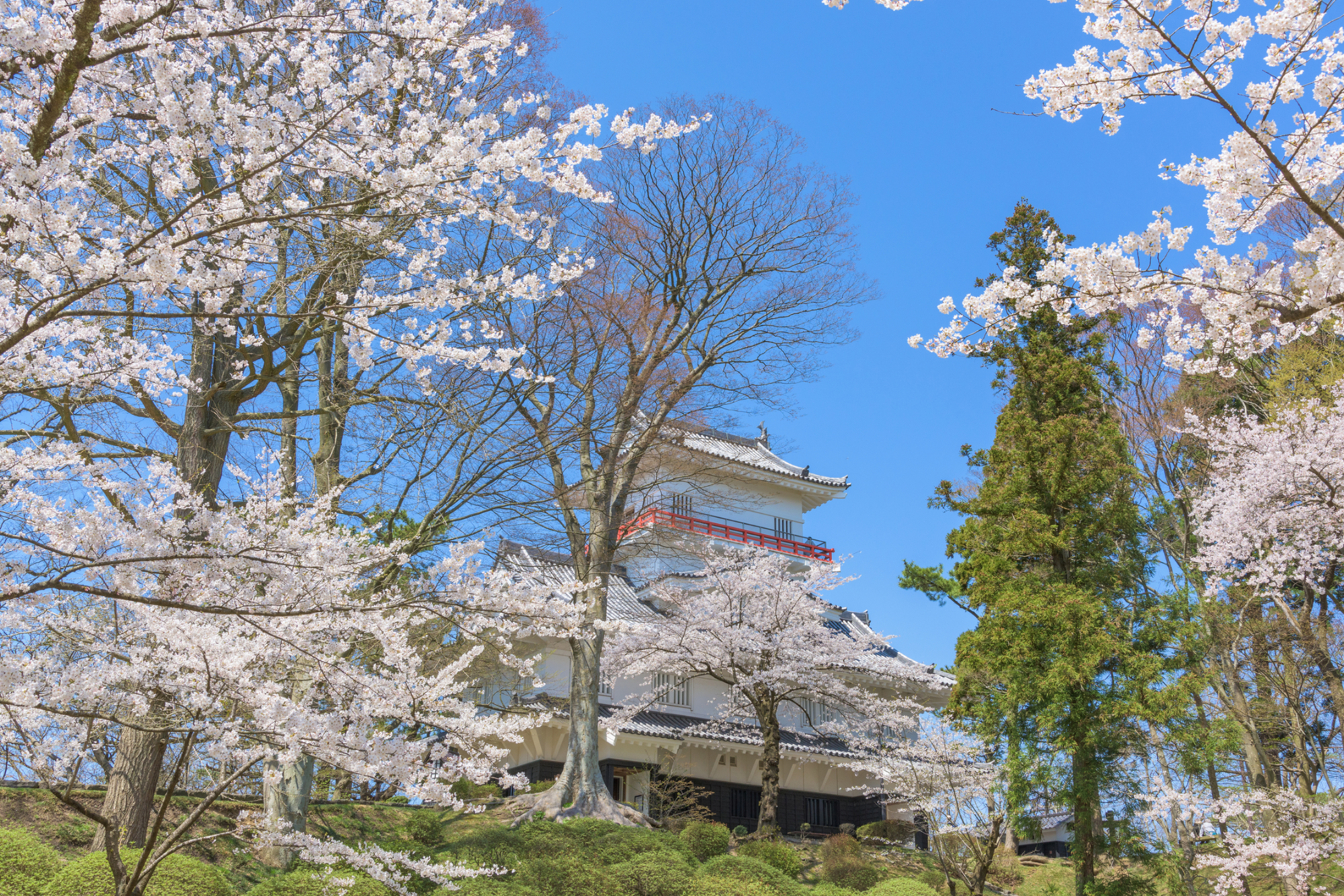 千秋公園