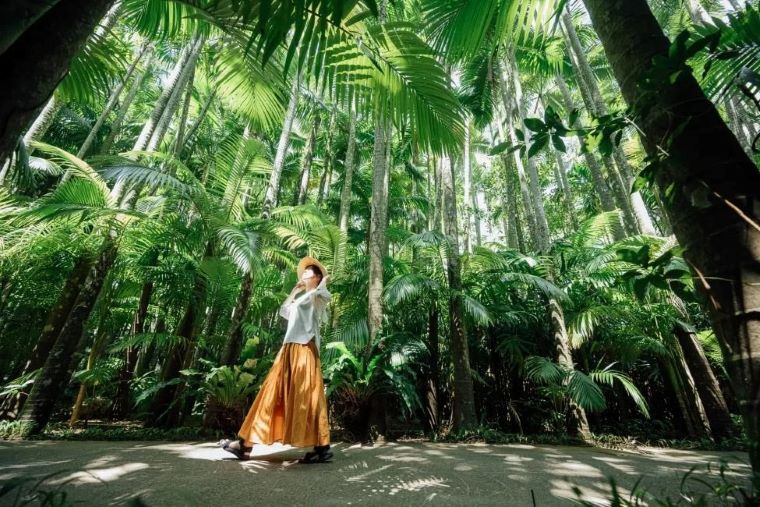 美らヤシパークオキナワ 東南植物楽園