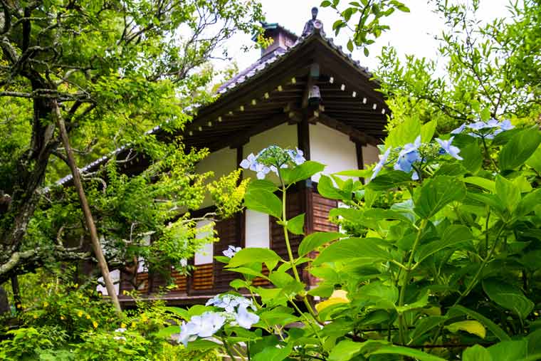 光則寺
