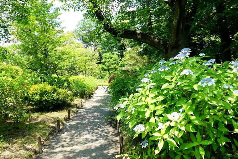 向島百花園