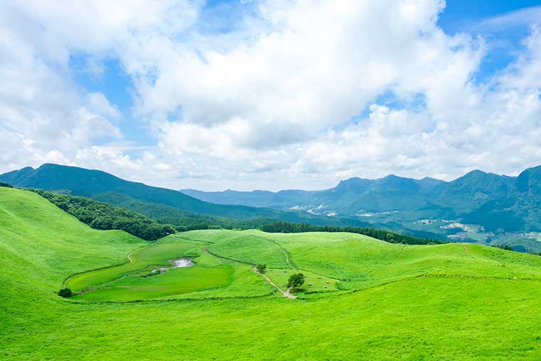 曽爾高原