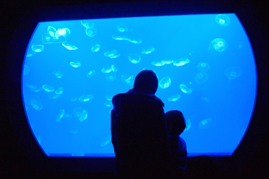 すみだ水族館