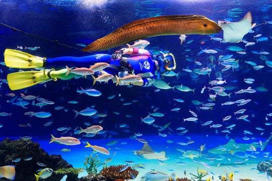 サンシャイン水族館