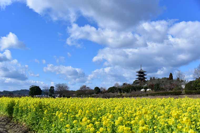 備中国分寺