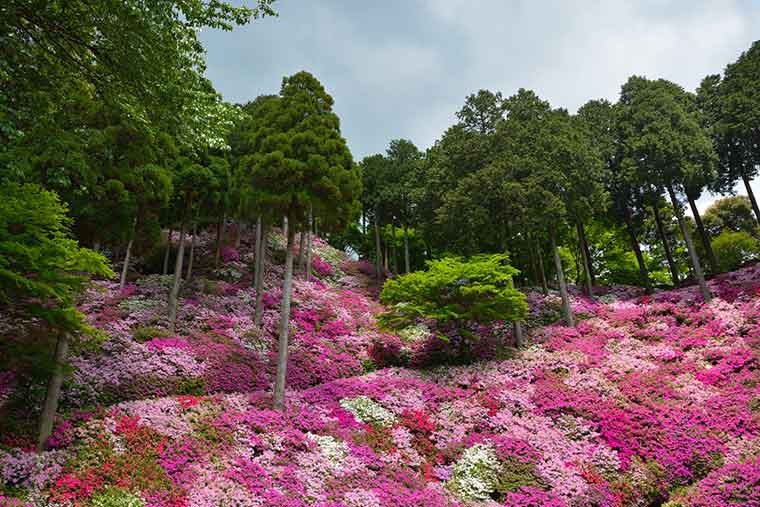 大興善寺