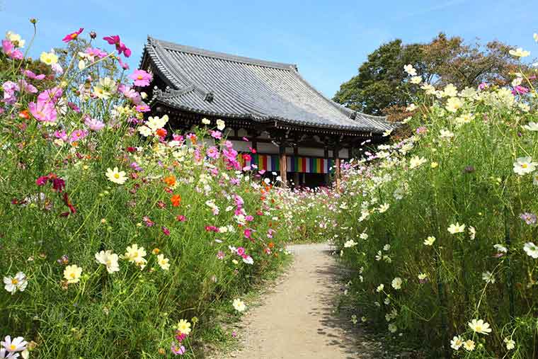 般若寺