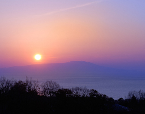 松花