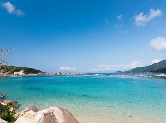 柏島