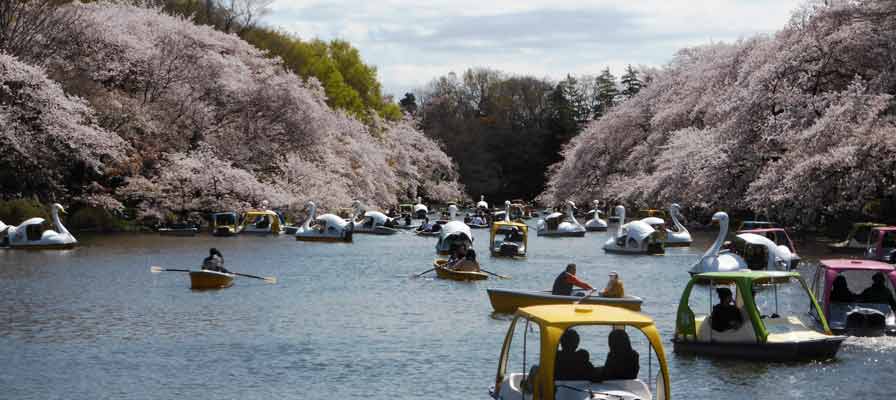 井の頭恩賜公園