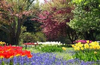 百合が原公園