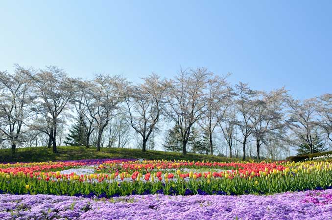 みちのく公園(国営みちのく杜の湖畔公園)