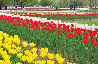 万博記念公園