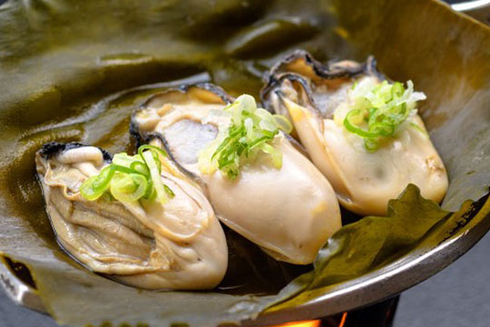 黒部川明日温泉元湯　バーデン明日（あけび）