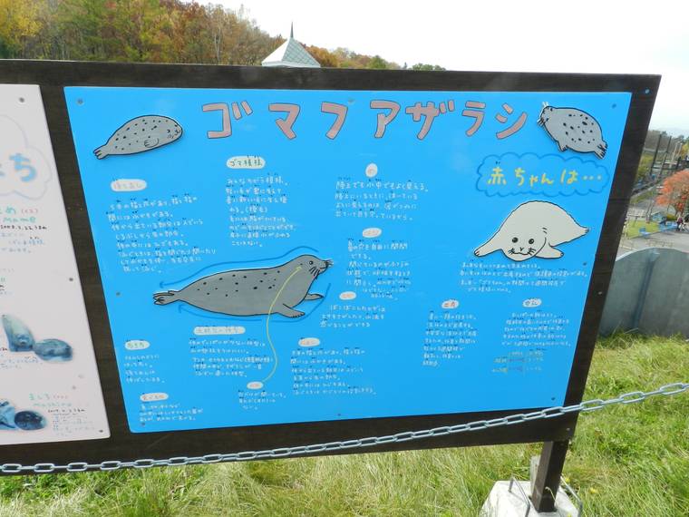 北海道 旭山動物園 イラストパネル