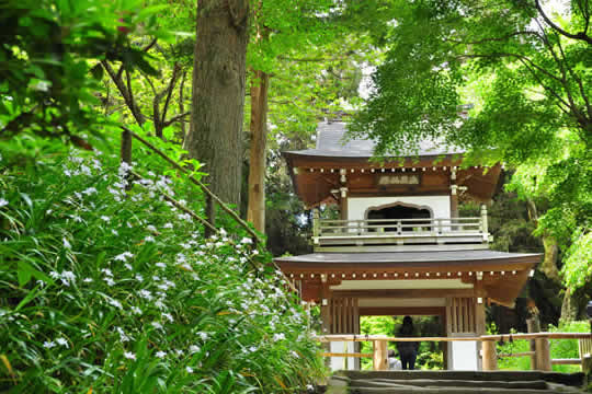 浄智寺