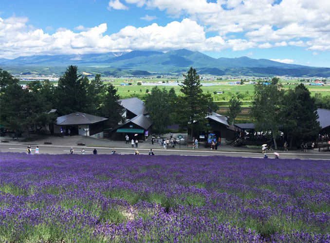 ファーム富田