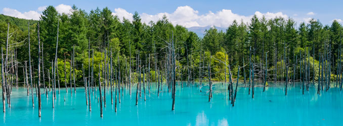 青い池