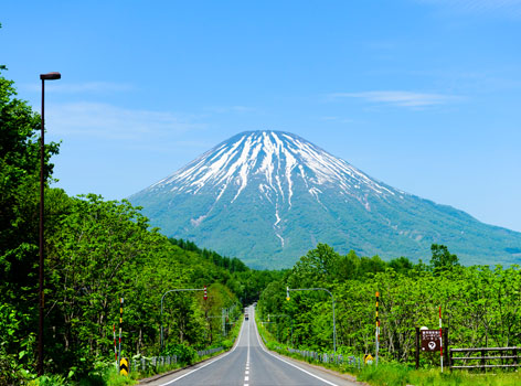 真狩