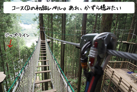 アスレチック