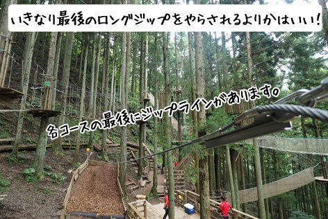 アスレチック