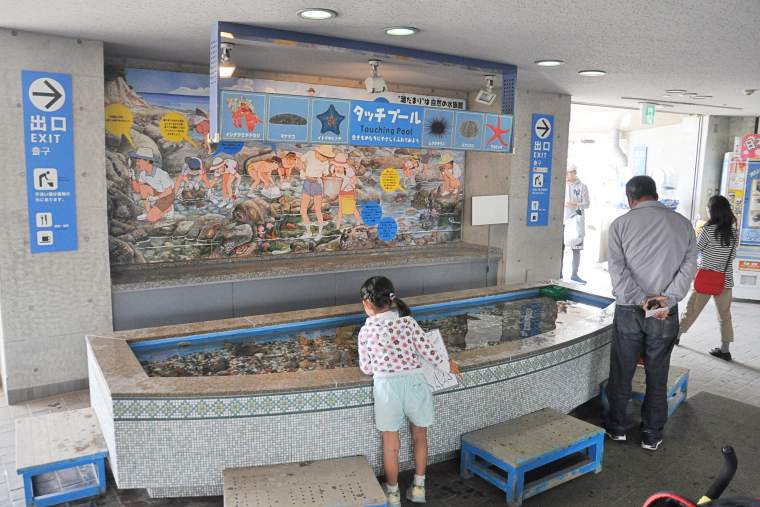 タッチプール