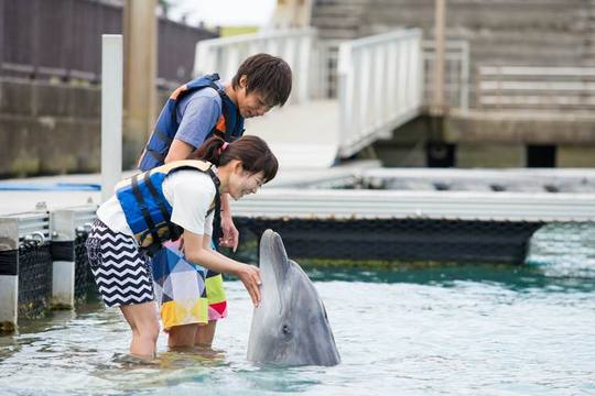 もとぶ元気村