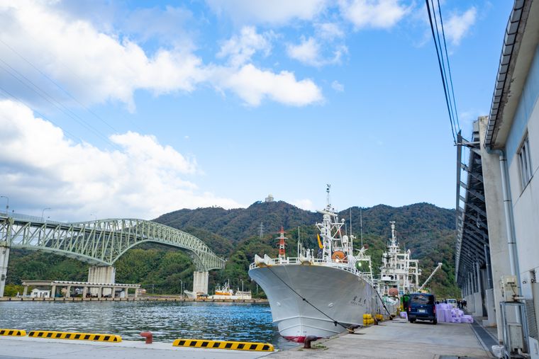 境漁港見学ツアー